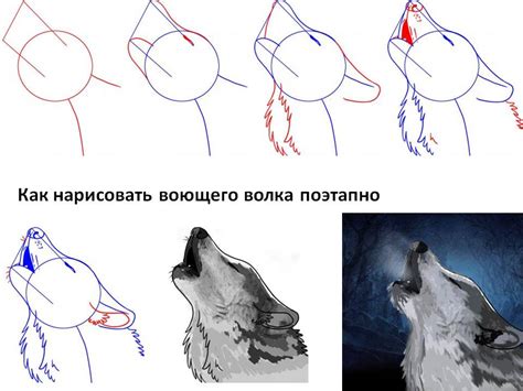 Как создать реалистичное изображение волка для детей с пошаговой инструкцией