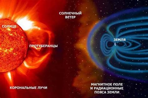 Как солнце влияет на состояние цветка: