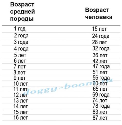 Как соотносить внешние и внутренние признаки возраста собаки со схожими признаками человека