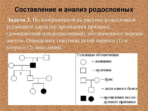 Как составить родословную собаки: 7 полезных советов