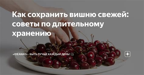 Как сохранить вишню свежей: секреты долгого хранения