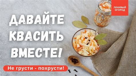 Как сохранить красивый цвет квашеной капусты