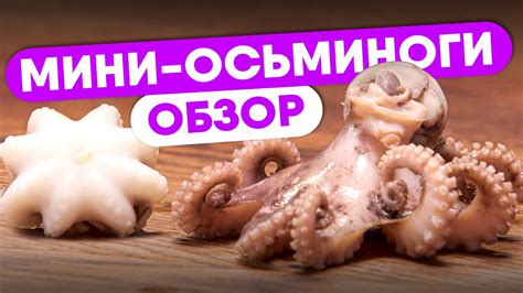 Как сохранить целостность мяса осьминожек при очищении