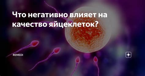 Как стресс влияет на качество спермы и яйцеклеток?