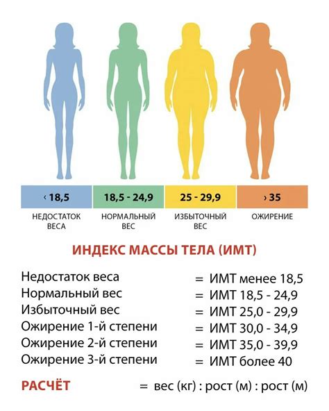 Как точно определить ИМТ по росту