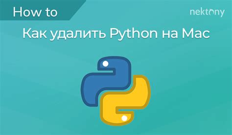 Как удалить Python с использованием пакетного менеджера