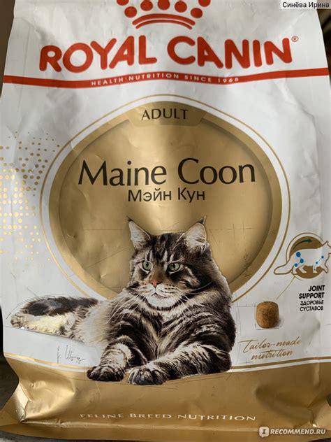 Как узнать, что корм Royal Canin настоящий: 5 простых способов