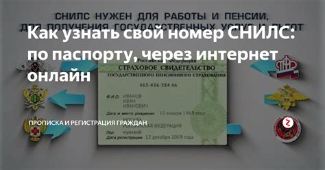 Как узнать СНИЛС по паспорту