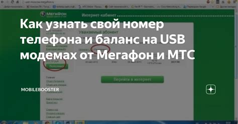 Как узнать баланс на МегаФоне через интернет модем?