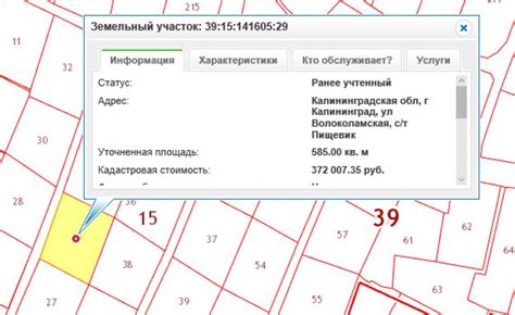 Как узнать владельца участка через кадастровый номер: пошаговая инструкция