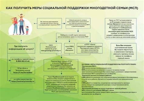 Как узнать все меры социальной поддержки в России