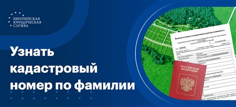 Как узнать кадастровый номер своего участка без походов в органы власти