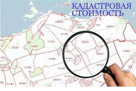 Как узнать категорию земли по кадастровому номеру через госуслуги?