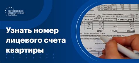 Как узнать лицевой счет осужденного: основные вопросы и ответы