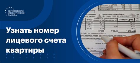 Как узнать номер лицевого счета центра инвест: лучшие способы и советы