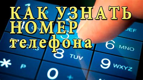 Как узнать свой номер на Феникс Кино: простая инструкция