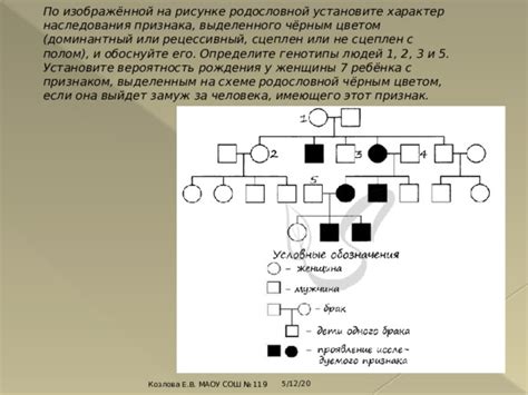 Как узнать тип наследования по родословной