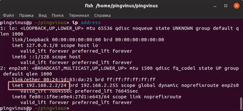 Как узнать IP адрес домена в Linux