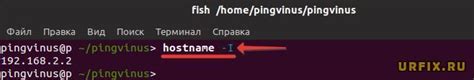 Как узнать IP сервера Linux