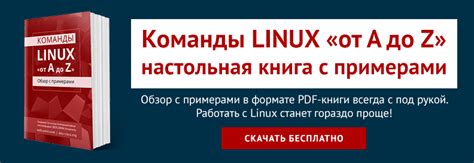 Как узнать hostname в Linux с помощью команды