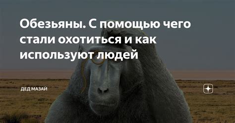 Как усилить силы обезьяны с помощью дополнительных элементов