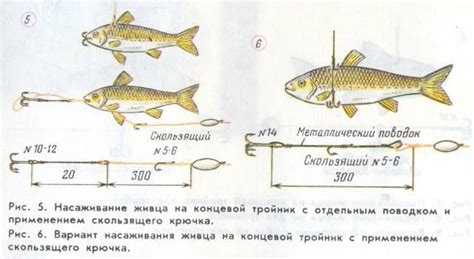 Как установить жерлицу кружок: подробная инструкция