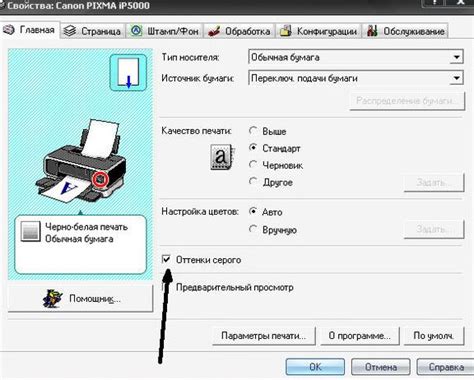 Как установить черно-белую печать на цветном принтере Epson