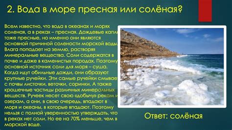 Как формируется соленость в морях и океанах