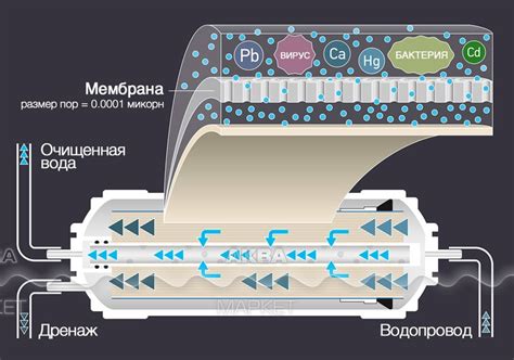 Как часто нужно очищать мембрану