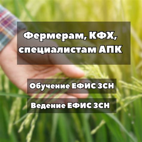 Как эффективно работать в системе ЕФИС ЗСН?