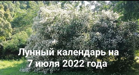 Календарь чистого четверга 2022 года