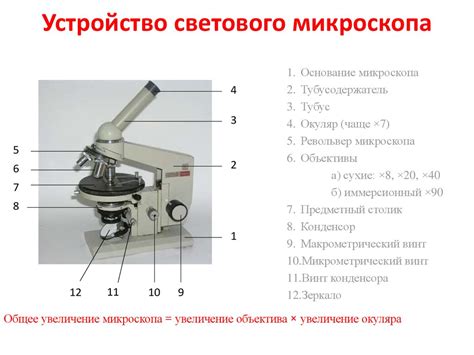 Калибровка микроскопа перед использованием