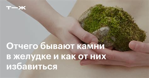 Камни в желудке: какие факторы способствуют образованию?