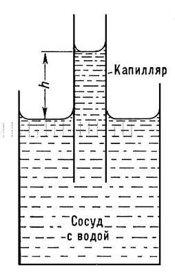 Капиллярное действие и асимметричная работа