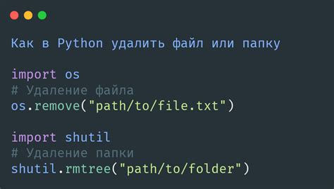 Каталоги в Python: как открыть и использовать?