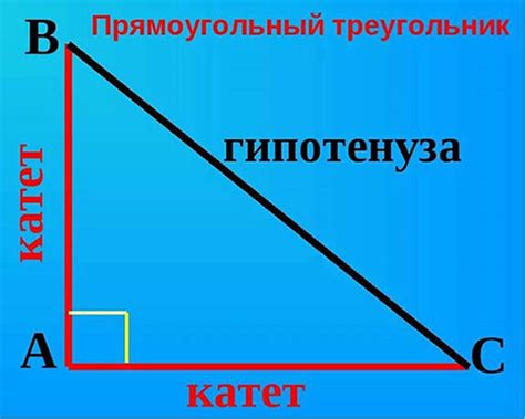 Катеты и гипотенуза