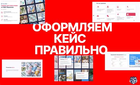 Кейсы успешной работы с Ирунина