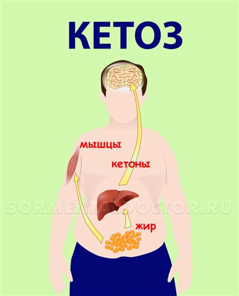 Кетоз: как его определить
