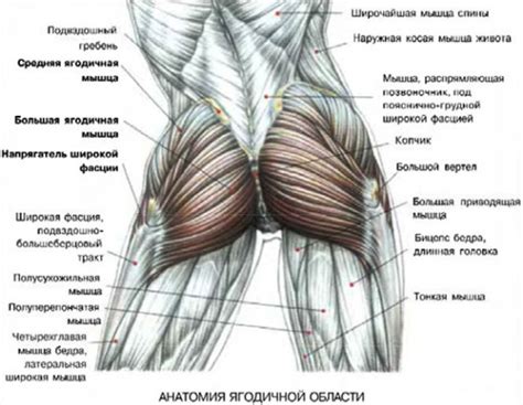 Киксбэки: нацелены на ягодичные и бедренные мышцы