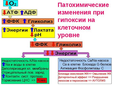 Кислородное голодание мышц