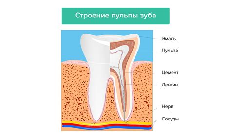 Кислотность и пульпа