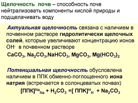 Кислотность и щелочность солей: простые методы и инструменты