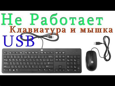 Клавиатура не работает при запуске - причины и способы решения