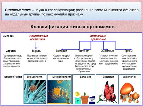 Классификация