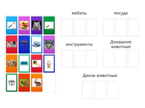 Классификация и сортировка предметов