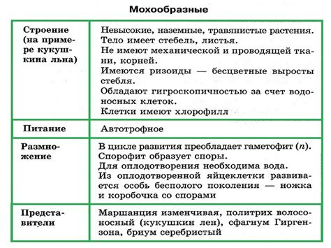 Классификация мхов по типу строения