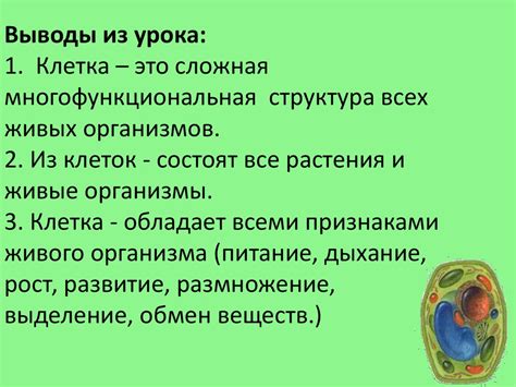 Клетка - многофункциональная единица организма