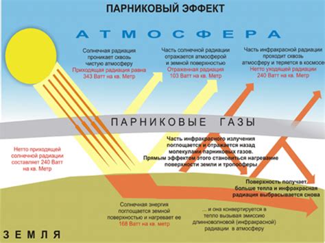 Климатические изменения и отражение на цвете моркови