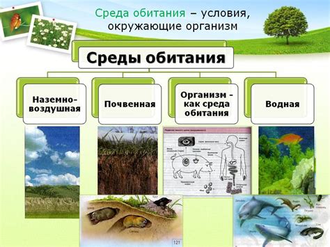 Климатические условия и неподходящая среда обитания