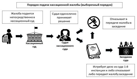 Ключевые моменты, которые стоит учесть при подаче кассационной жалобы